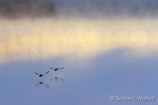 Birds Over Otter Lake_01460.jpg - Photographed near Lombardy, Ontario, Canada.